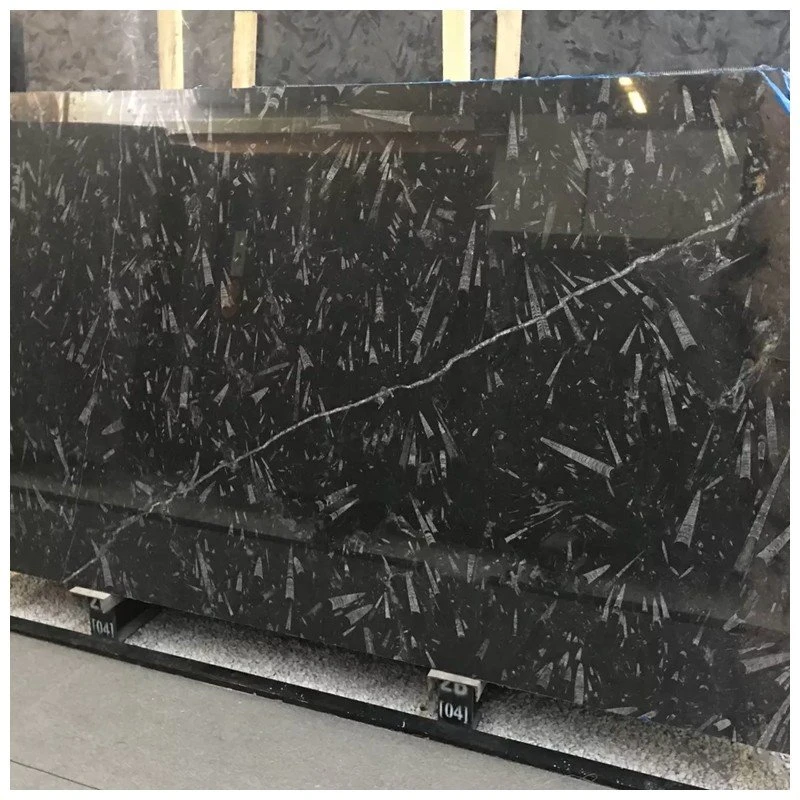 fossil stone slabs fossil stone slabs